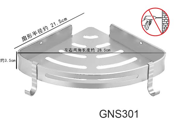 GNS301